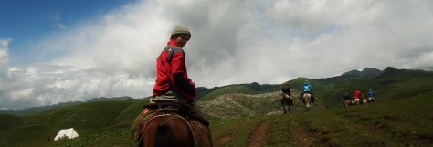 Bio Banner--Horseback.jpg